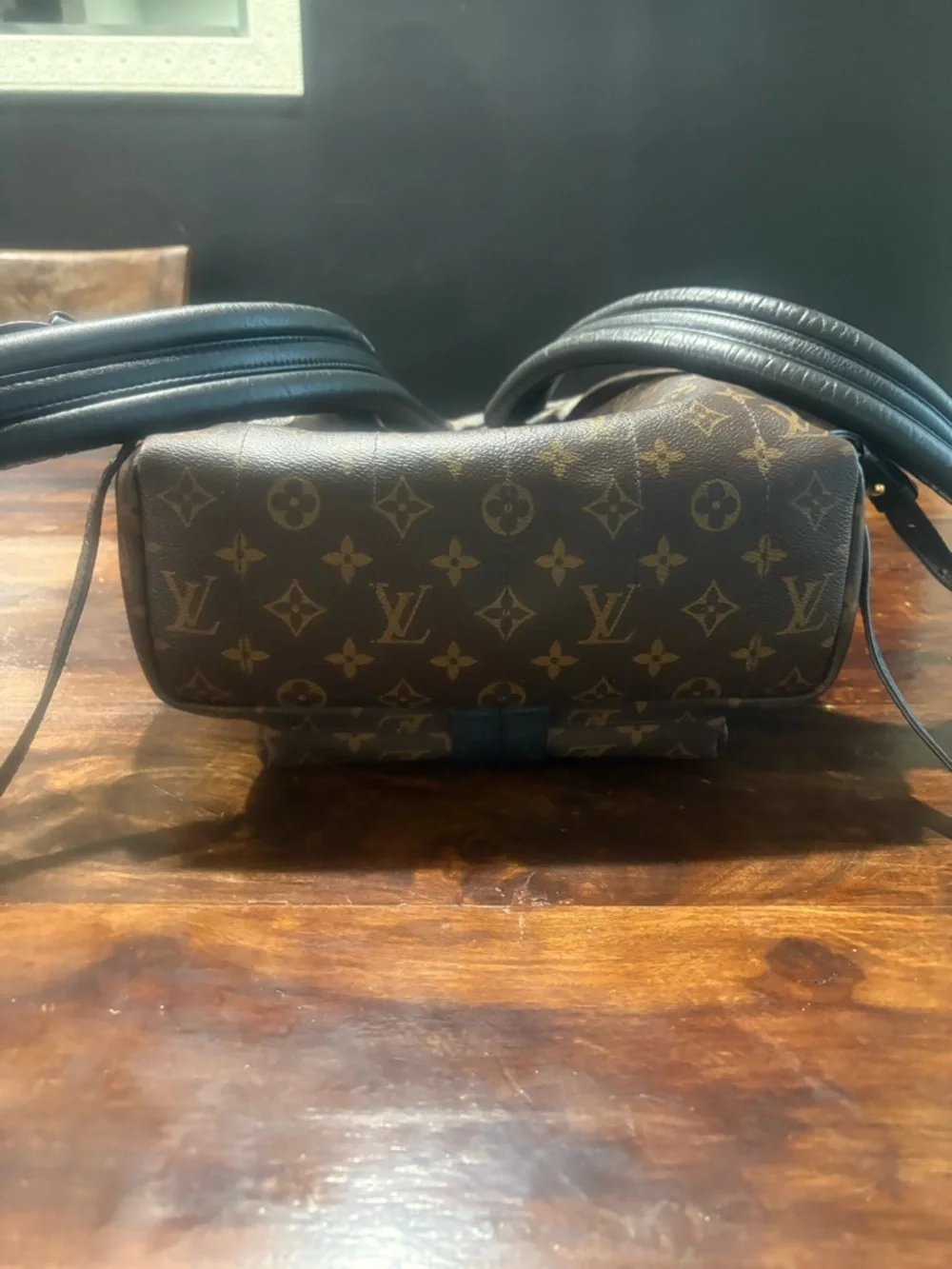 Louis Vuitton Palm Spring  Mini Backpack MM - Picture 6 of 14